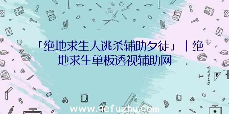 「绝地求生大逃杀辅助歹徒」|绝地求生单板透视辅助网